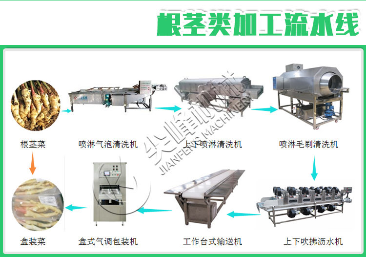 葉菜類(lèi)清洗漂燙風(fēng)干流水線